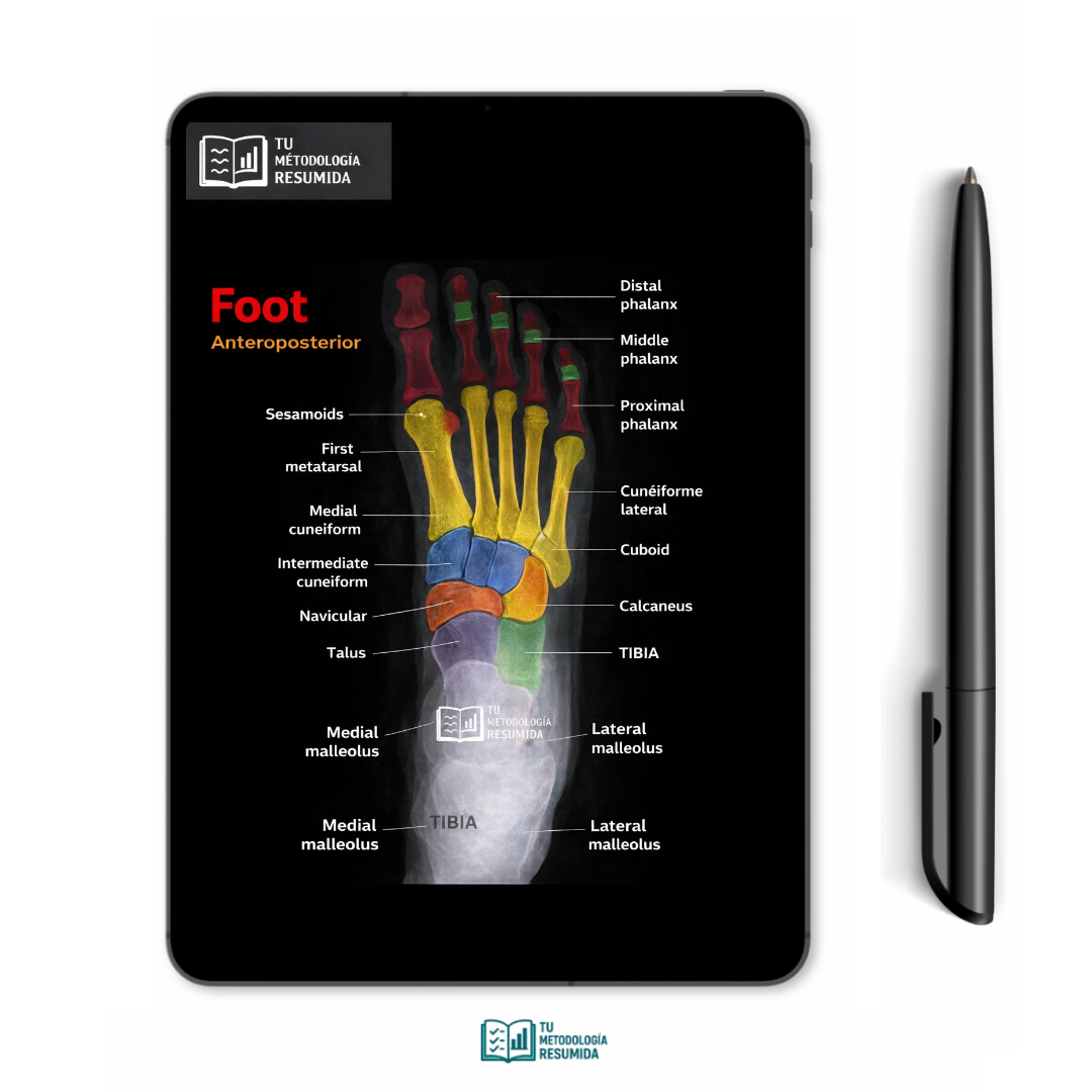 ANATOMY AND PHYSIOLOGY – COMPLETE DIGITAL PACK (PDF)